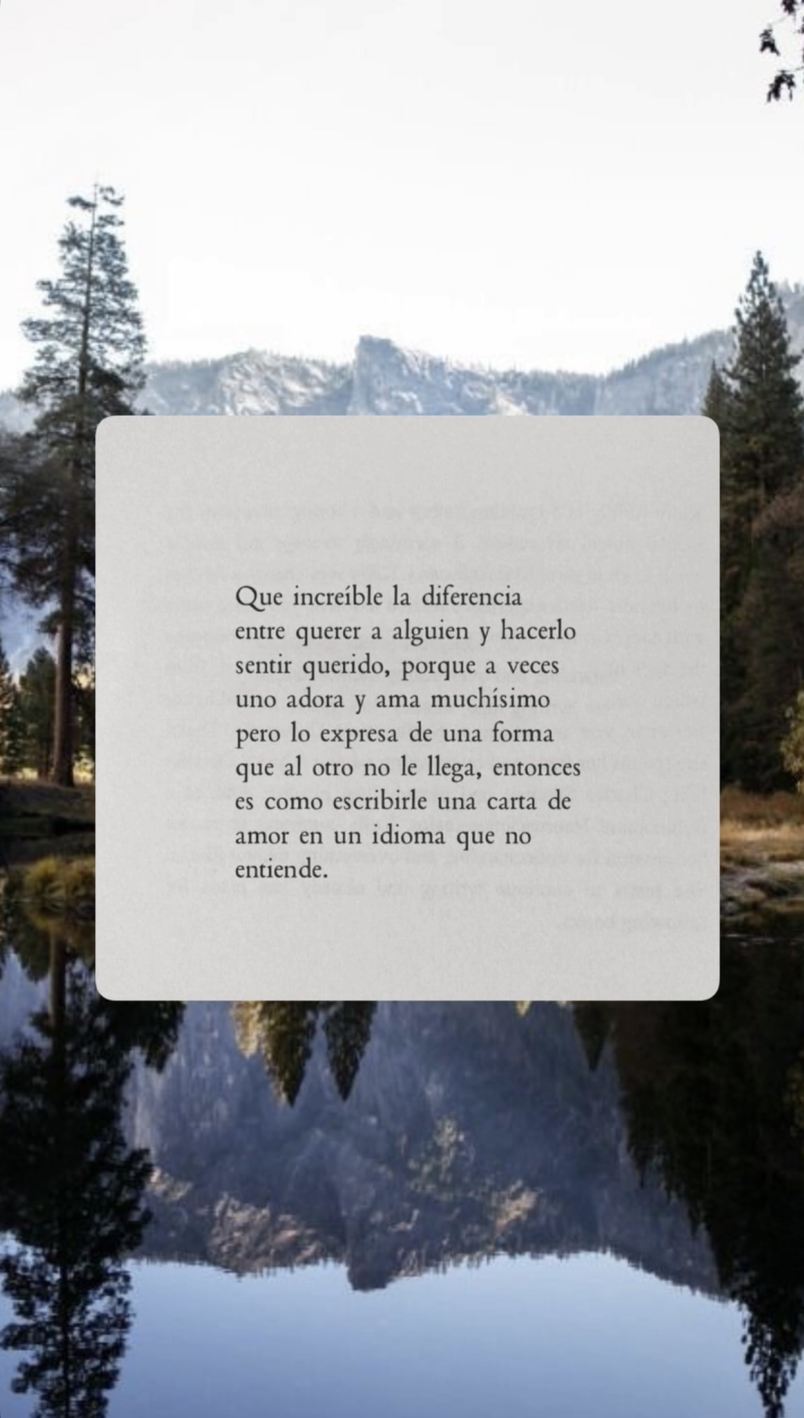 Reflexión de Instagram 4