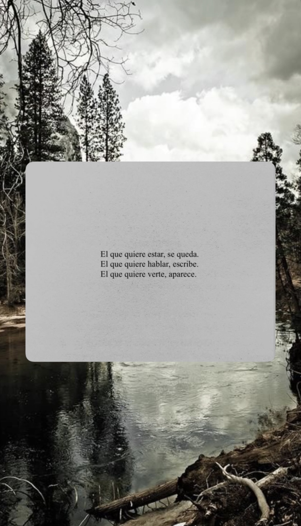 Reflexión de Instagram 4