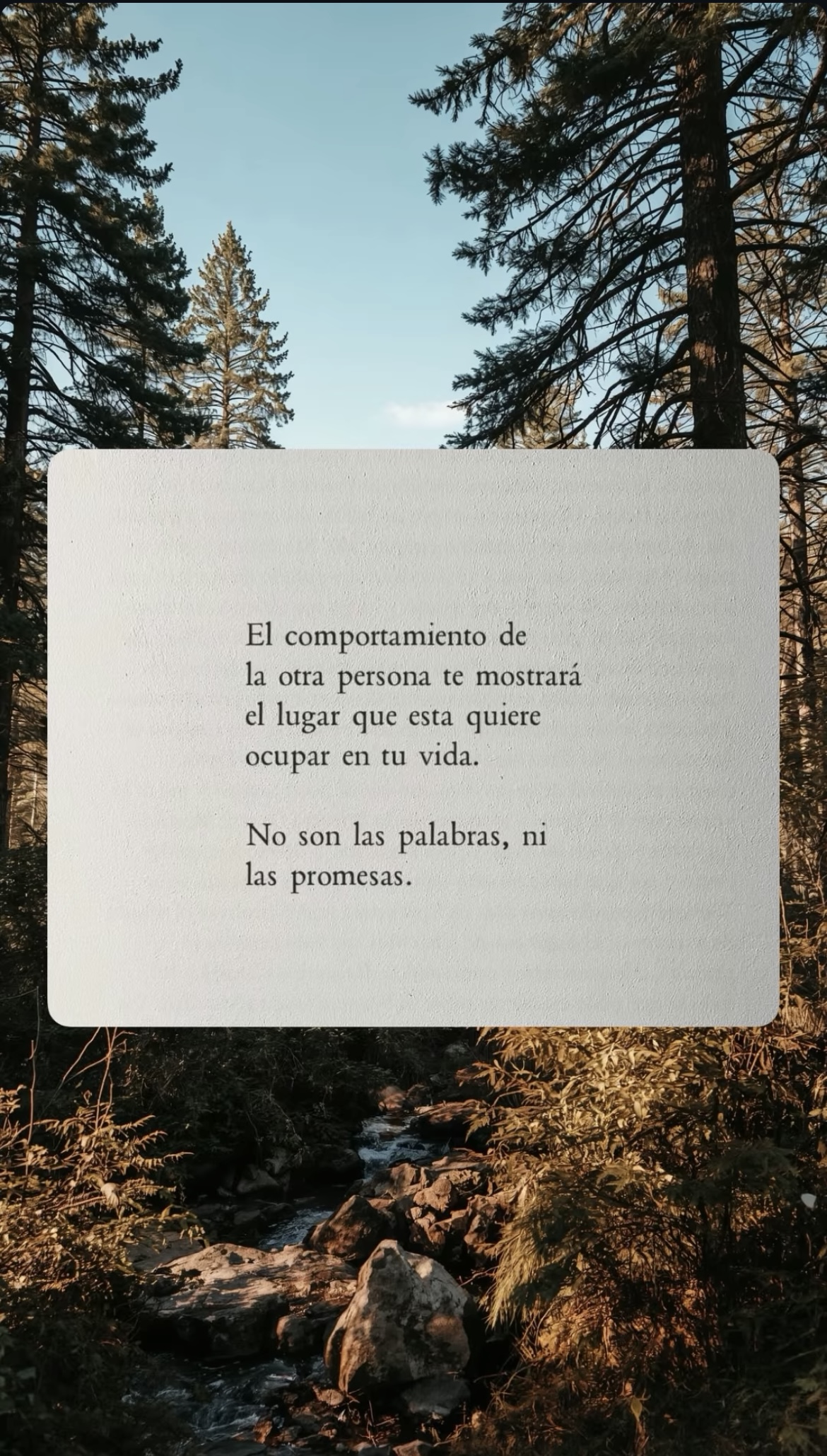 Reflexión de Instagram 2
