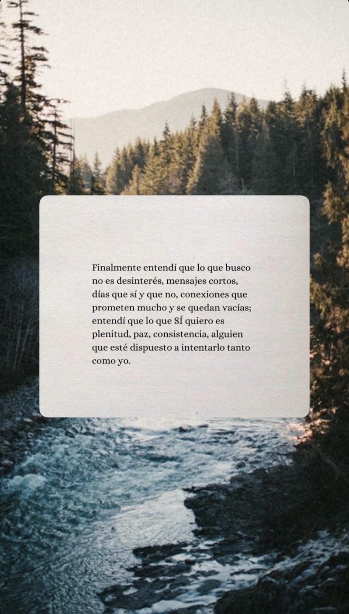 Reflexión de Instagram 3