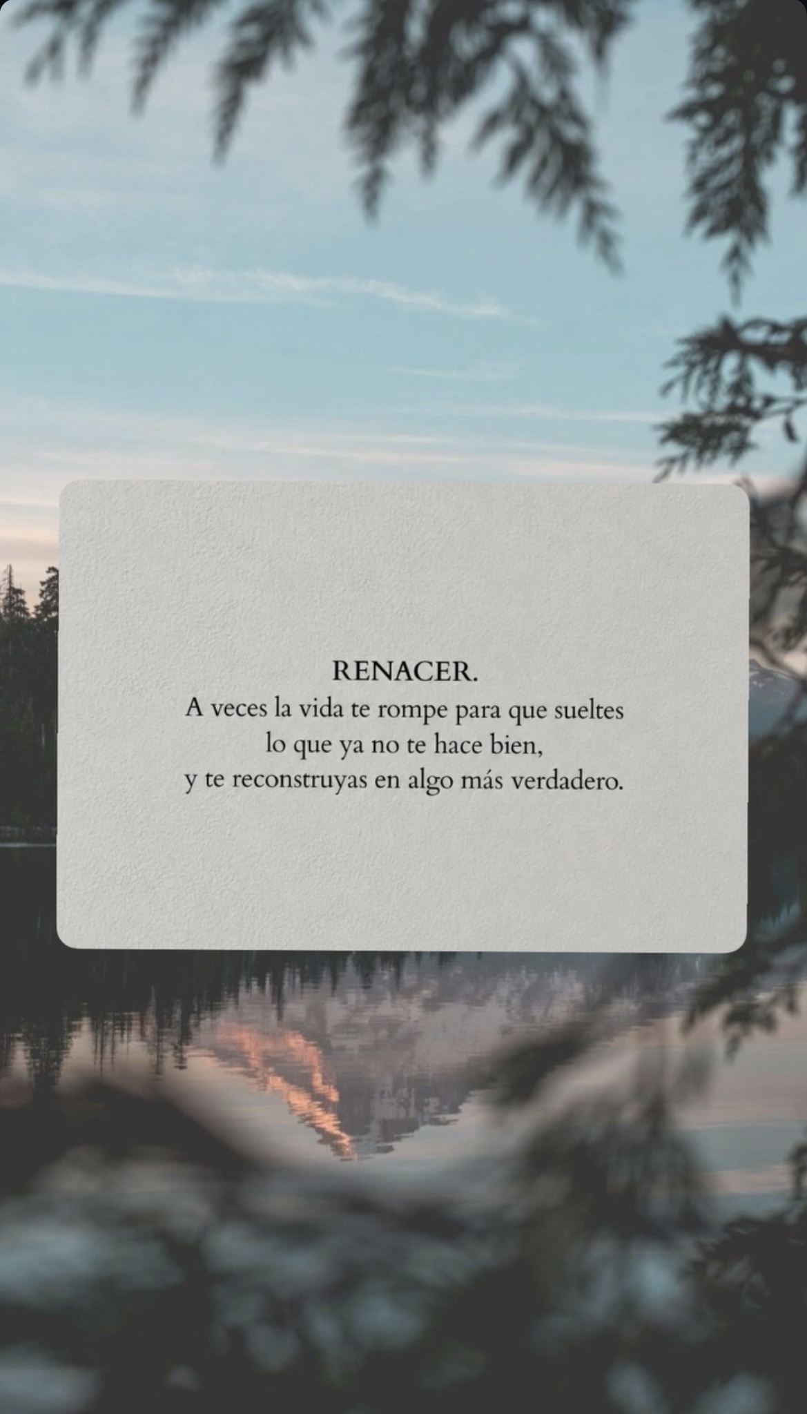 Reflexión de Instagram 4