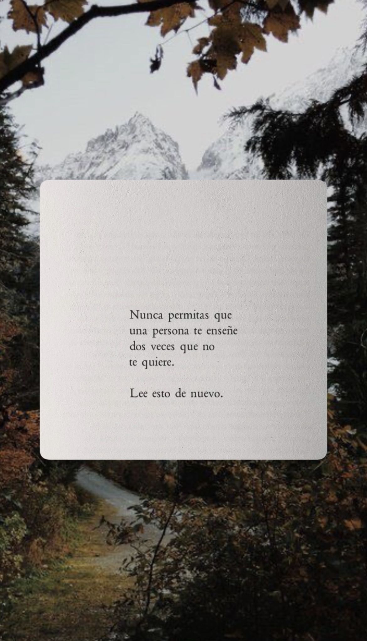 Reflexión de Instagram 4
