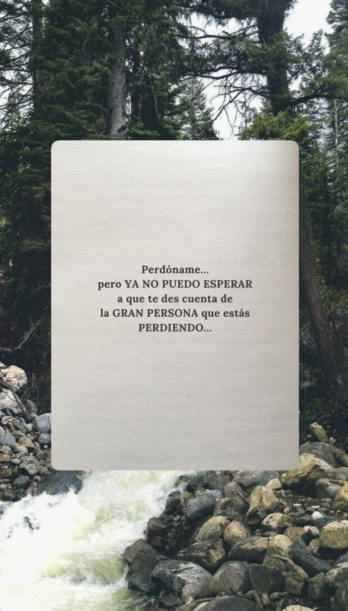 Reflexión de Instagram 4