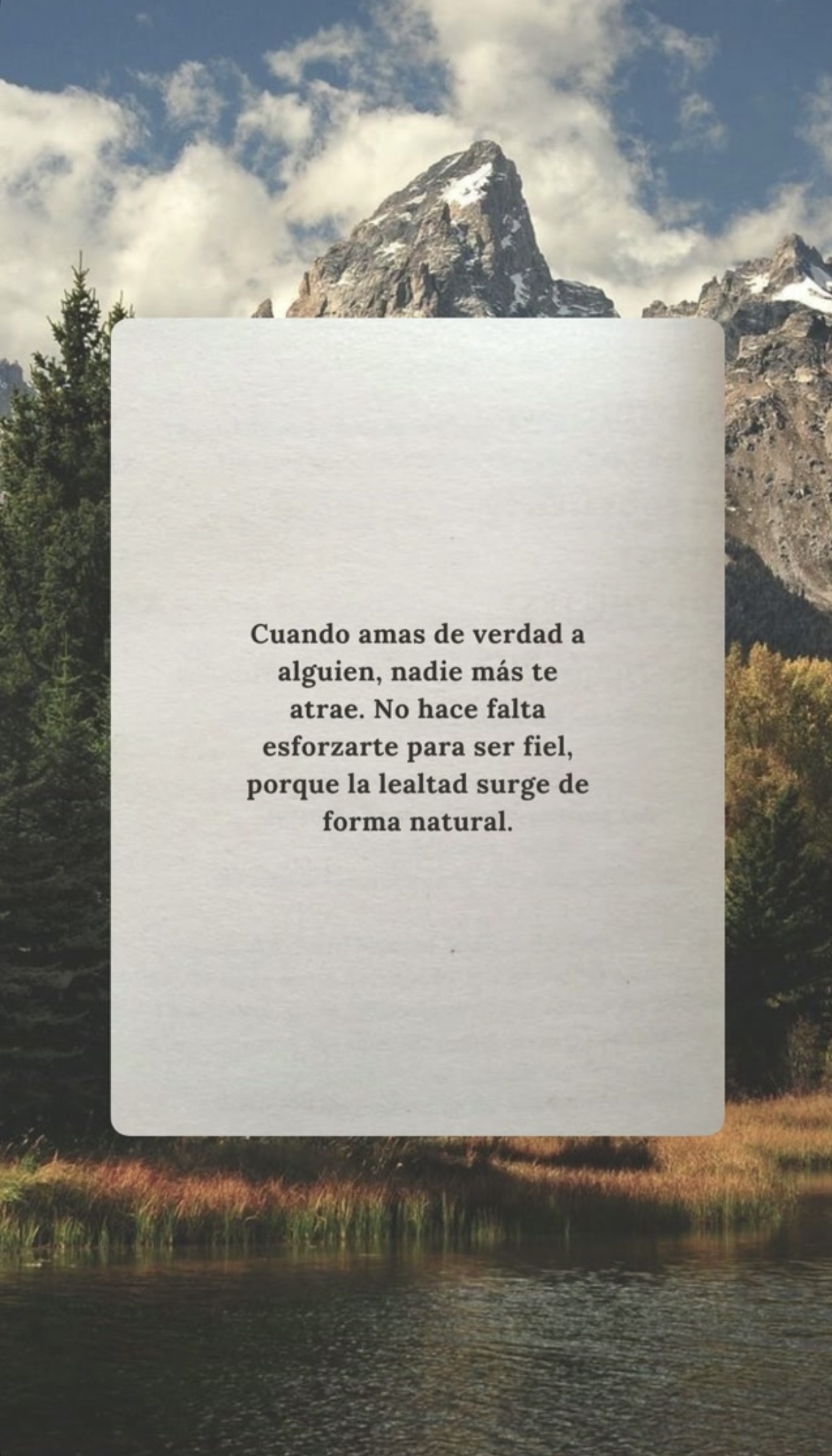 Reflexión de Instagram 4