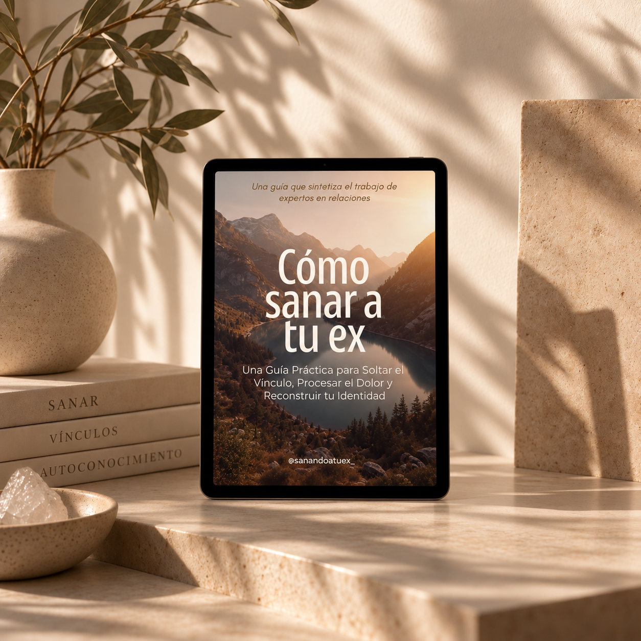 Guía Como Sanar a tu Ex